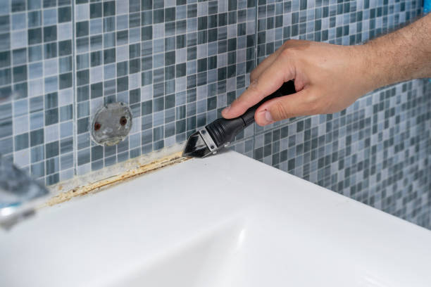 Best Black Mold Removal  in Centerville, SC